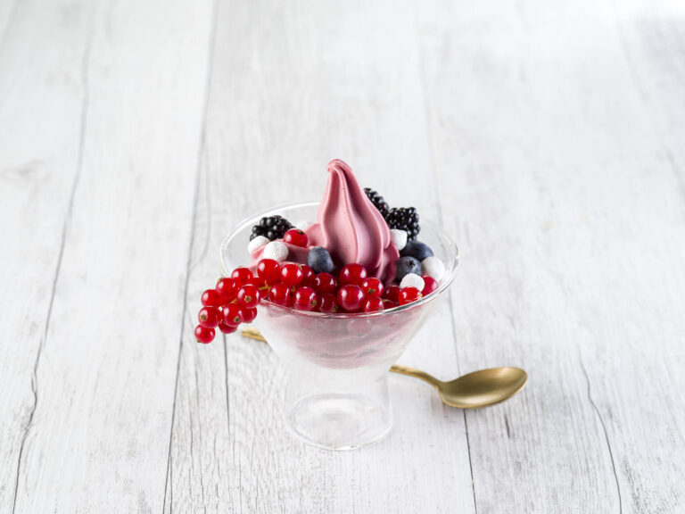 Home 21 Frozen Yogurt 5